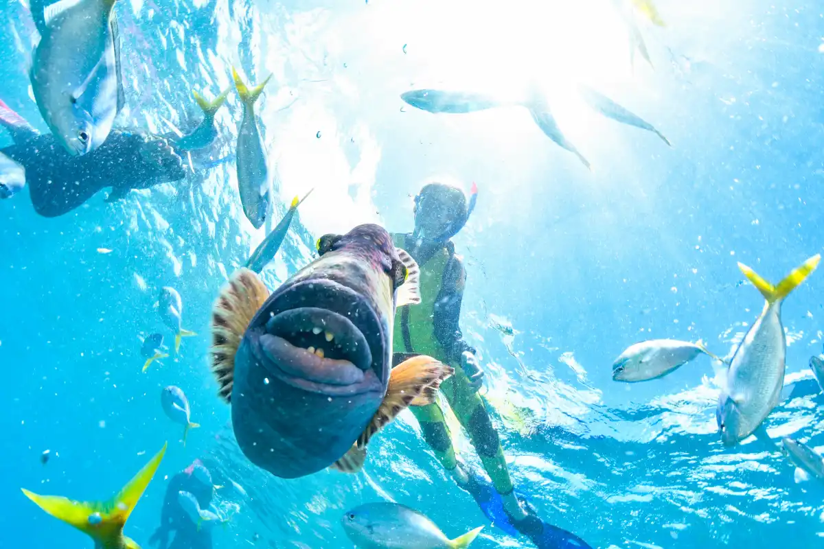 Kid snorkeling in crystal-clear tropical waters — snorkeling in Phuket for the whole family