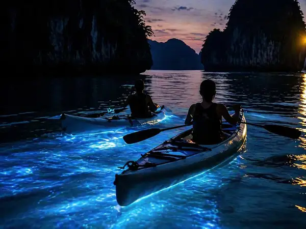 Insta Tour - Glowing Plankton — tour from Phuket